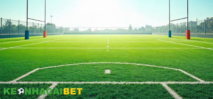 Kích thước sân bóng đá 11 người tiêu chuẩn Fifa